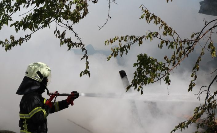 Tavuk kümesi olarak kullanılan ahşap ev yanarak kül oldu