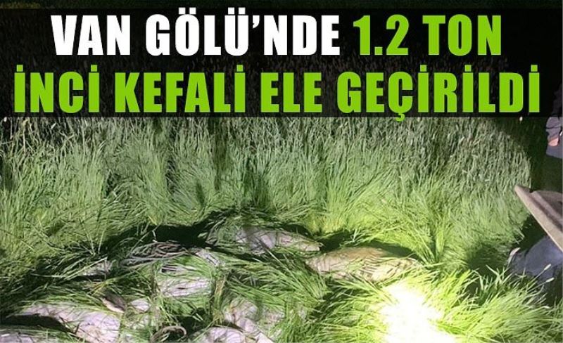 Van Gölü’nde 1.2 ton inci kefali ele geçirildi