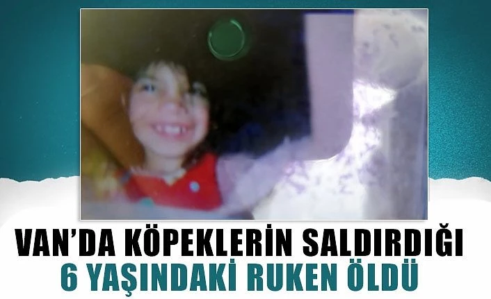 Van’da köpeklerin saldırdığı 6 yaşındaki Ruken öldü