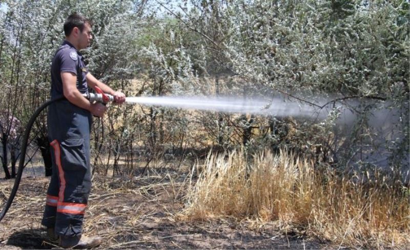 Elazığ’da yangın: 12 dönüm ekili alan kül oldu