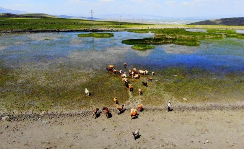 Erzurum’da kuraklık hat safhada, göller bir bir kuruyor